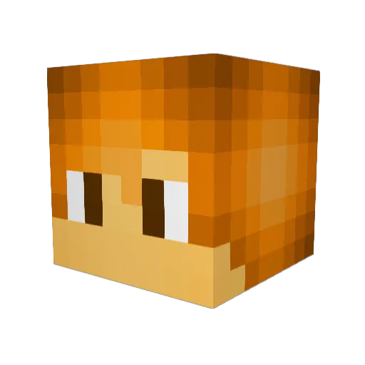mattyminer01 Minecraft avatar head, 3D render