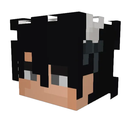 mattysusmez Minecraft avatar head, 3D render