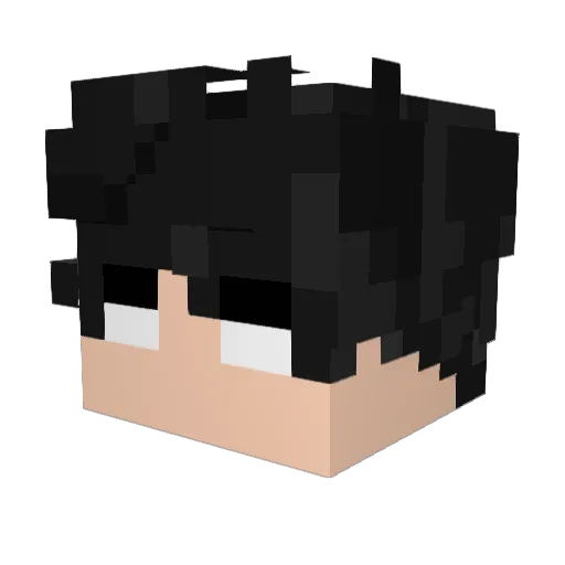 matusi4717 Minecraft avatar head, 3D render