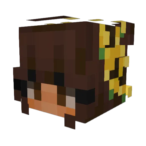 matw48 Minecraft avatar head, 3D render