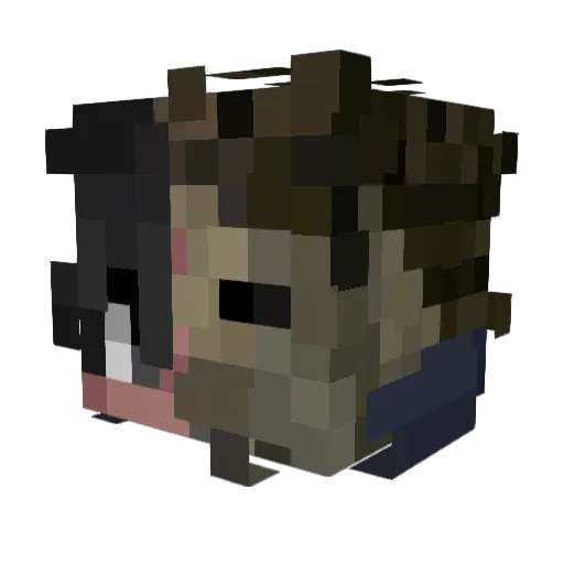 Minecraft-Avatar von mauchn: Kopf als 3D-Render