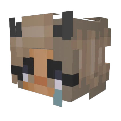 mauddje Minecraft avatar head, 3D render