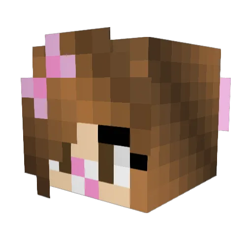 maui_miner Minecraft avatar head, 3D render