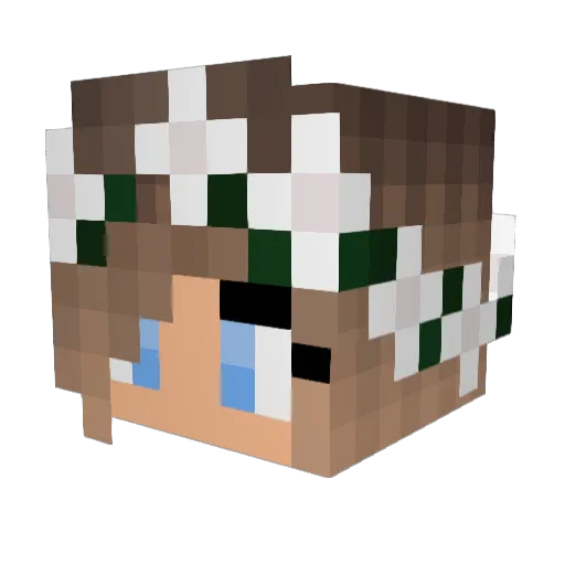 mauigal Minecraft avatar head, 3D render