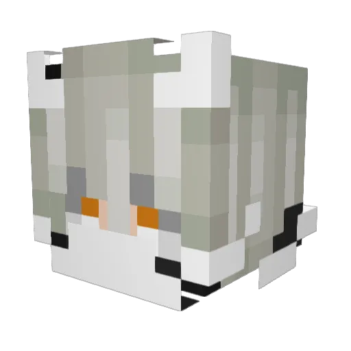 maurin07 Minecraft avatar head, 3D render