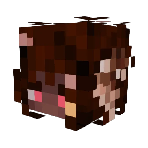 maverixxs Minecraft avatar head, 3D render