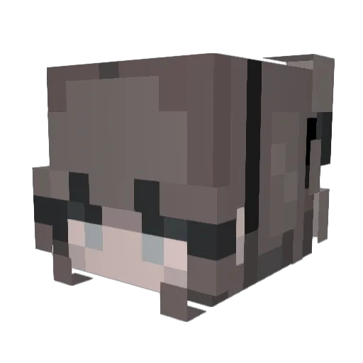 mavric2628 Minecraft avatar head, 3D render
