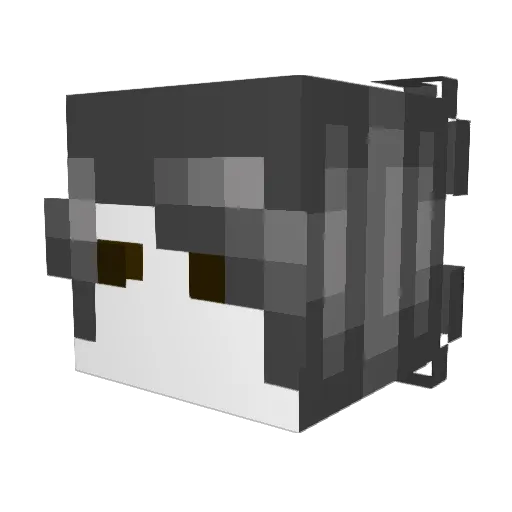 max00141 Minecraft avatar head, 3D render