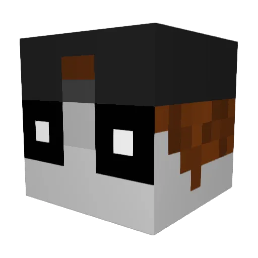 max201245 Minecraft avatar head, 3D render