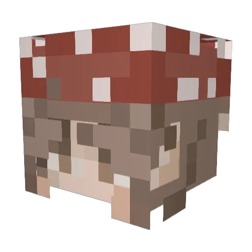 max_219 Minecraft avatar head, 3D render