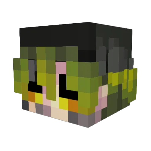 maxentus Minecraft avatar head, 3D render