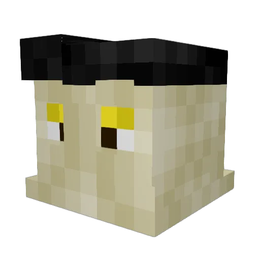 maxfer4000 Minecraft avatar head, 3D render