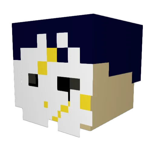 maxi1400v Minecraft avatar head, 3D render