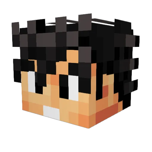 maxi_10 Minecraft avatar head, 3D render