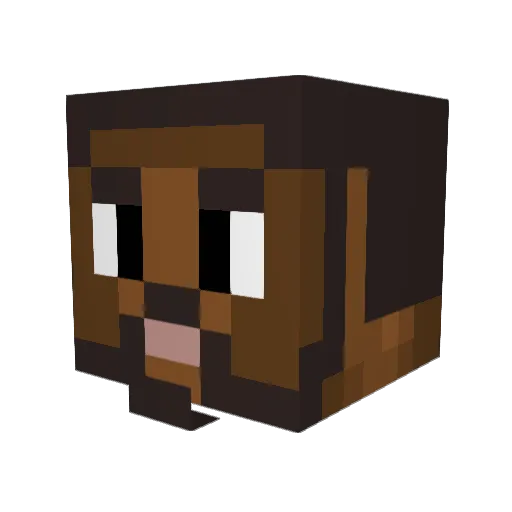 maxiderpan Minecraft avatar head, 3D render