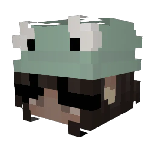 maxieboylad Minecraft avatar head, 3D render