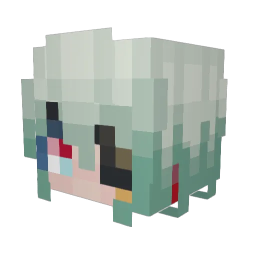 maximusonval Minecraft avatar head, 3D render