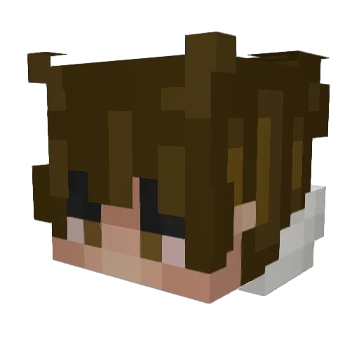 maxipiedrass Minecraft avatar head, 3D render