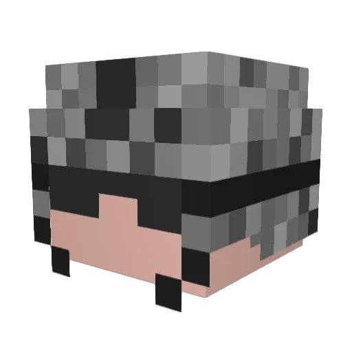 maxir565 Minecraft avatar head, 3D render