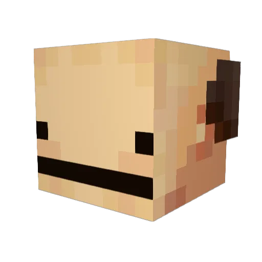 maxisilvab Minecraft avatar head, 3D render