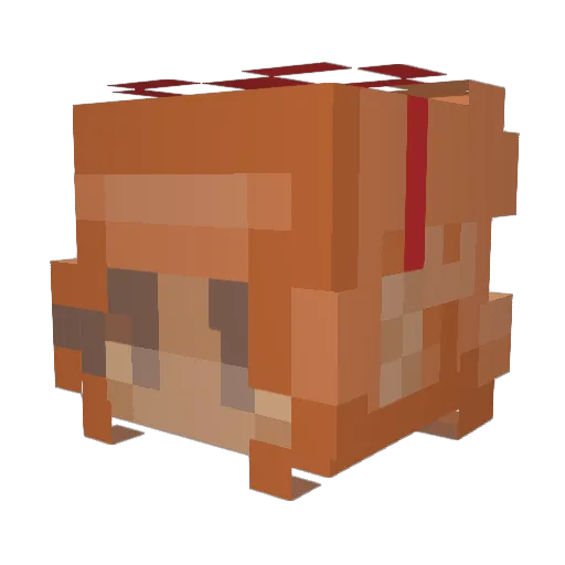 maxlnestan Minecraft avatar head, 3D render