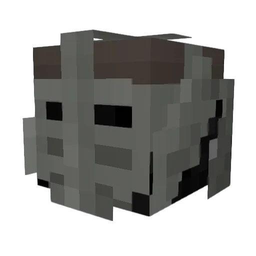 maxmus7366 Minecraft avatar head, 3D render