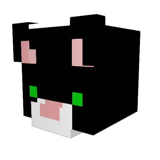 maxon404 Minecraft avatar head, 3D render
