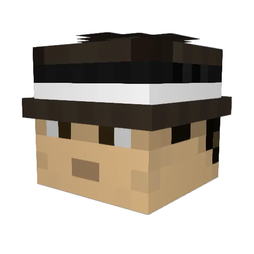 maxthecat202 Minecraft avatar head, 3D render
