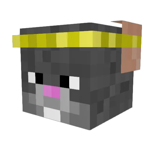 maxtodonte47 Minecraft avatar head, 3D render