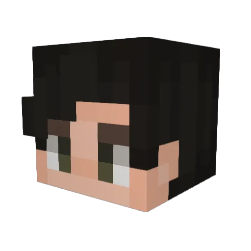 maxwoodsefc Minecraft avatar head, 3D render