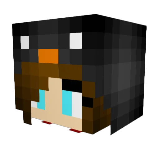 maxx_TNT Minecraft avatar head, 3D render