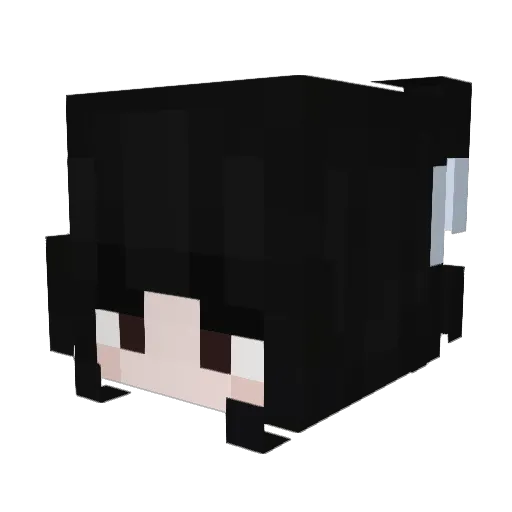 maxxi412 Minecraft avatar head, 3D render