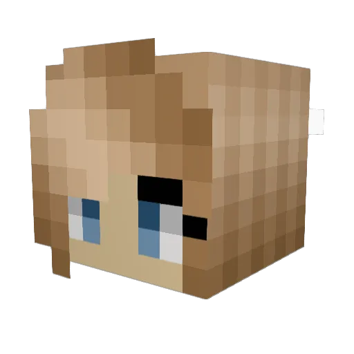 may0018 Minecraft avatar head, 3D render