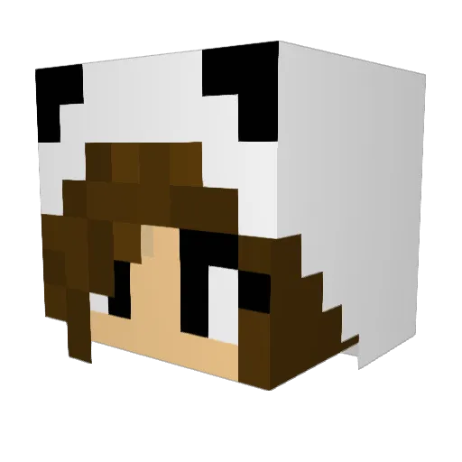 mayadigger Minecraft avatar head, 3D render