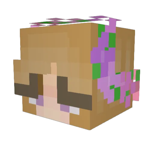 mayajayne Minecraft avatar head, 3D render