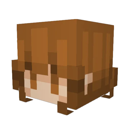 maybeitskat Minecraft avatar head, 3D render