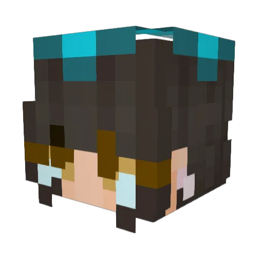 maybetheraccoon Minecraft avatar head, 3D render