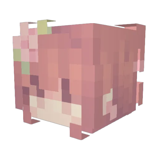 maybezoeyy Minecraft avatar head, 3D render