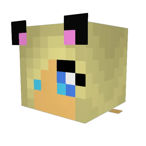 maydayhunter Minecraft avatar head, 3D render