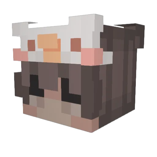 mayer8269 Minecraft avatar head, 3D render