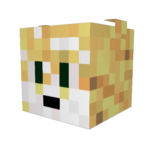 mayonaiseleopard Minecraft avatar head, 3D render