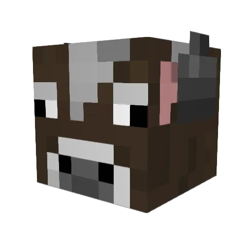 mbbk1992 Minecraft avatar head, 3D render