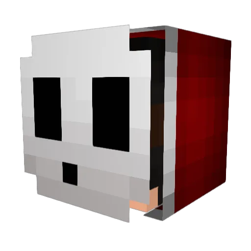 mbros314 Minecraft avatar head, 3D render