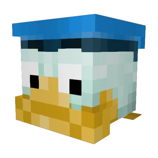 mbsurfer Minecraft avatar head, 3D render