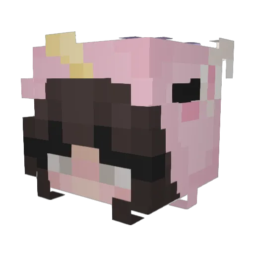 mcAlta Minecraft avatar head, 3D render