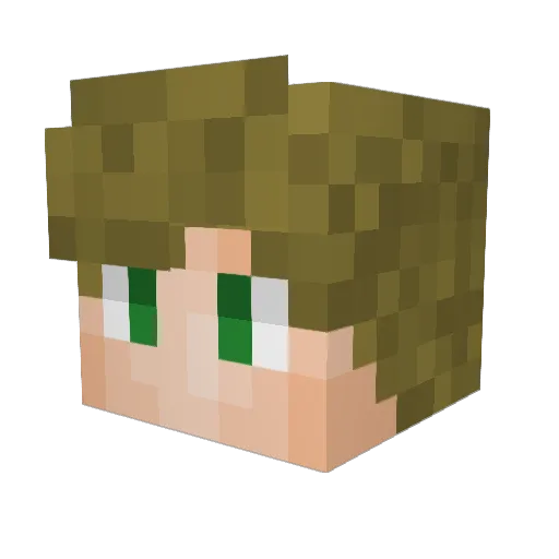 mcNoahlol Minecraft avatar head, 3D render