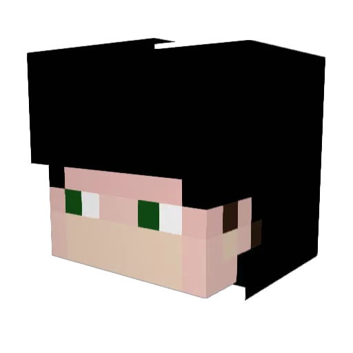 mc_PalmDoor Minecraft avatar head, 3D render