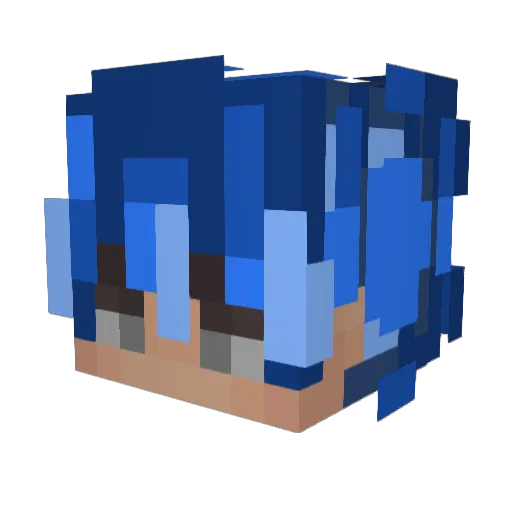 mc_money1002 Minecraft avatar head, 3D render