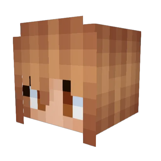 mc_mzinhooo Minecraft avatar head, 3D render