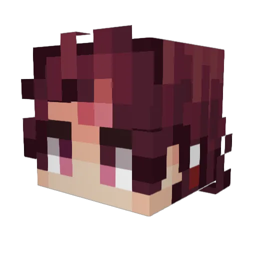 mcassassin13 Minecraft avatar head, 3D render